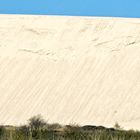 nicht die Wanderdünen von Namibia sondern von Sylt