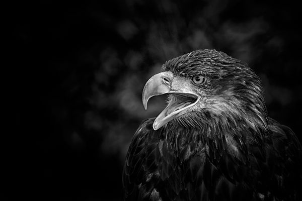 Nicht erschrecken, Leute....