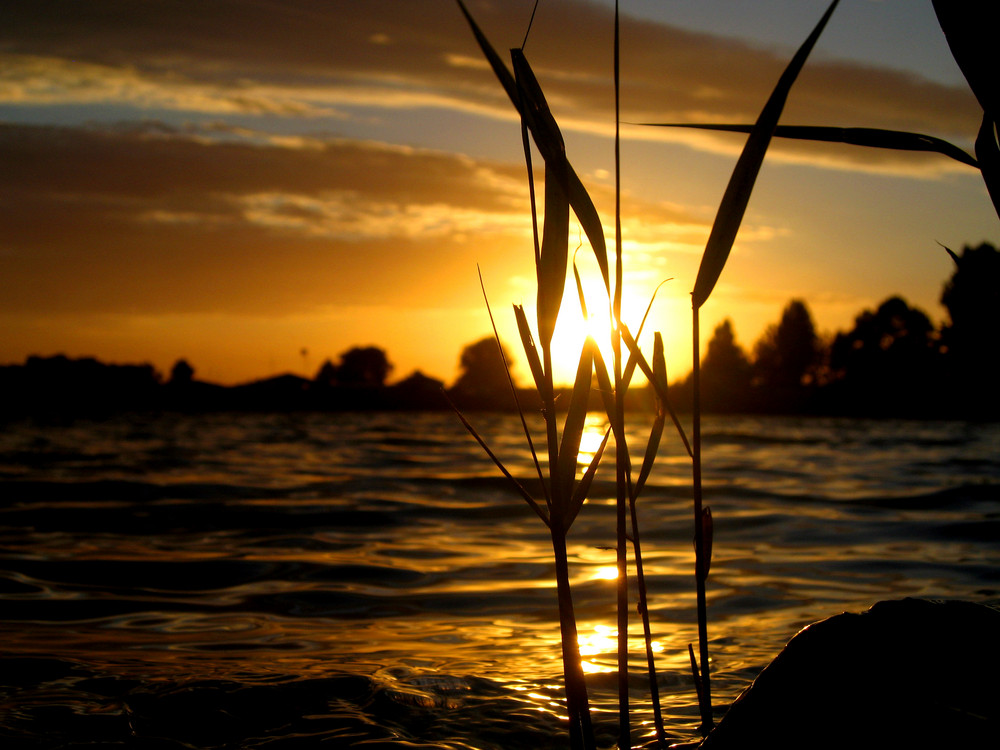 Nicht fern der Nordsee liegt die Südsee