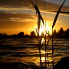 Nicht fern der Nordsee liegt die Südsee