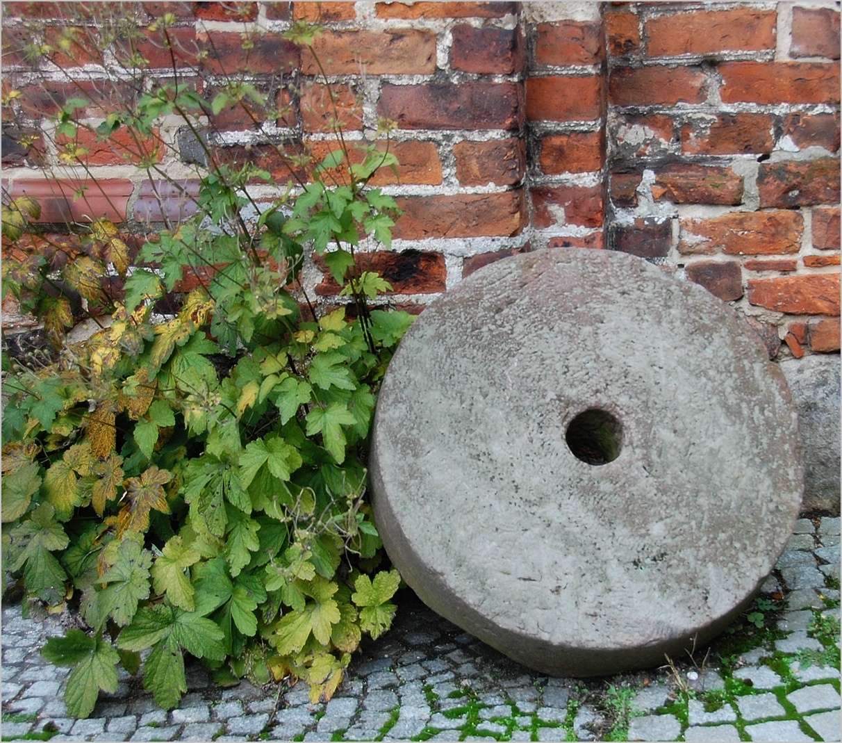 nicht für Kaffeemühlen geeignet -