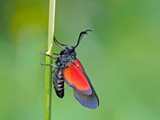 Nicht ganz von dieser Welt ...