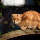 Nicht gemütlich, dafür aber sonnig