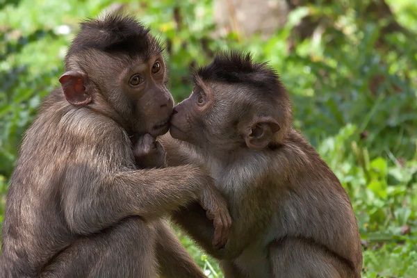 Nicht gerade begeistert