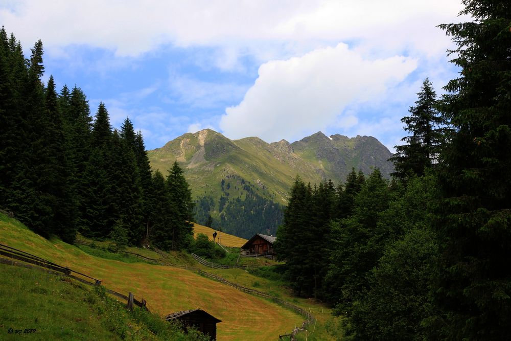 Nicht Heidi