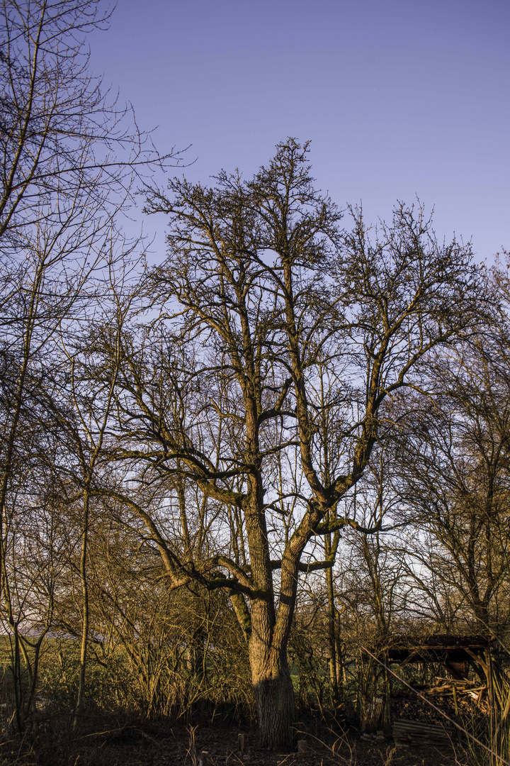 nicht im Morgenrot sondern bei blauem Himmel