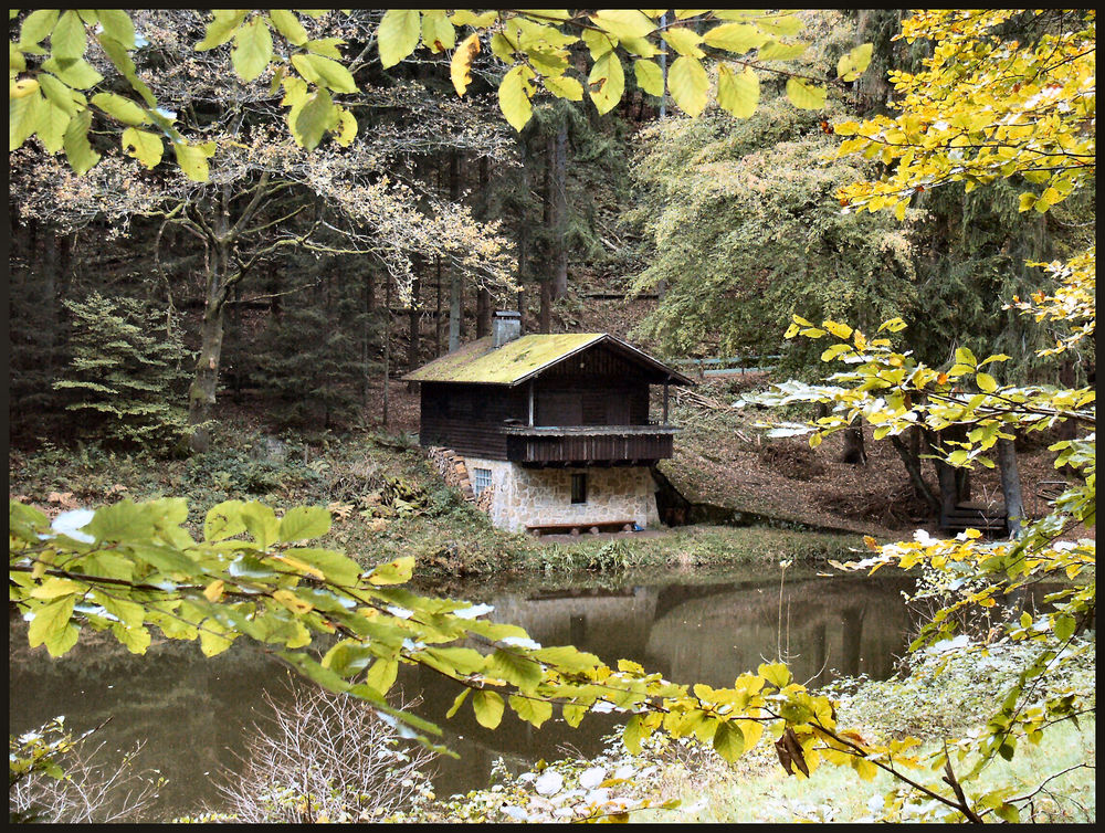 Nicht im Schwarzwald....