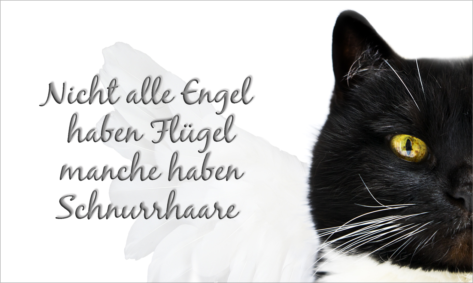 Nicht immer ..............