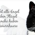 Nicht immer ..............