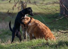 Nicht immer ist es hilfreich,....