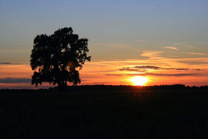 Nicht in Afrika- sondern Sonnenuntergang in Sachsen!