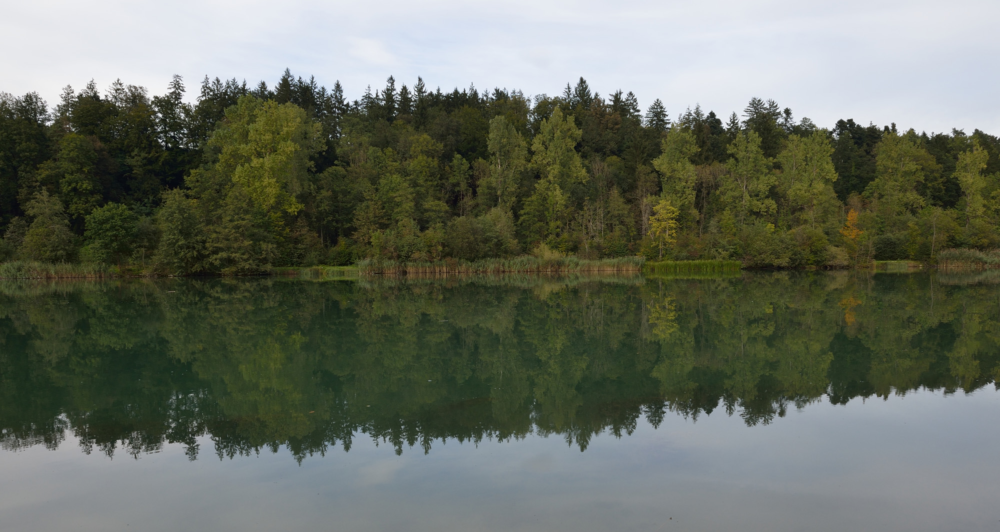 Nicht in Kanada - an der Aare bei Berken