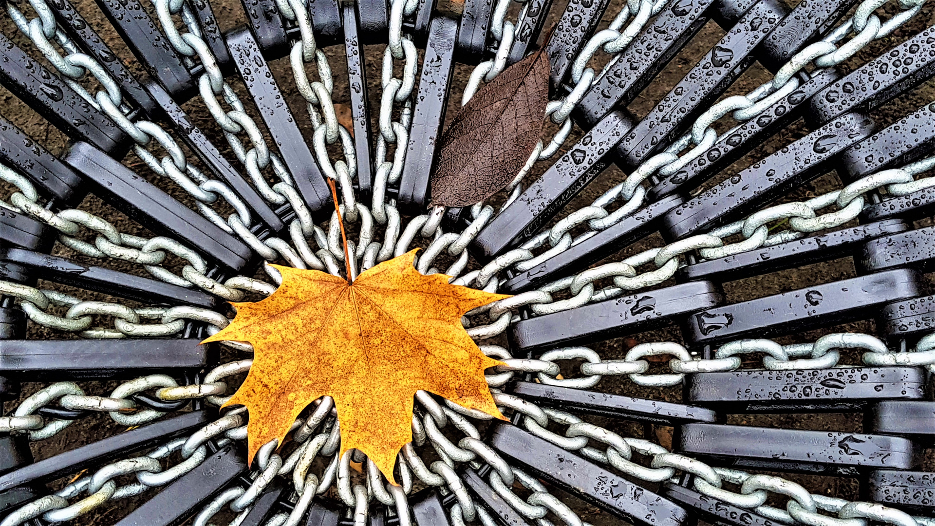 nicht in sondern auf Ketten gelegt