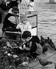 nicht in Venedig