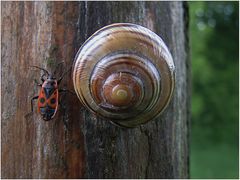 Nicht jedem Besucher ...