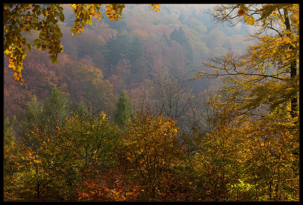 Nicht jeder Herbst ist so schön... (Variante 1) 