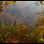 Nicht jeder Herbst ist so schön... (Variante 1) 