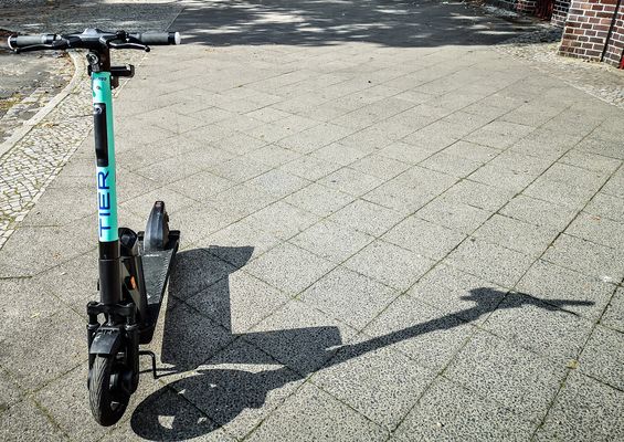 Nicht jedes Tier muß geschützt werden 