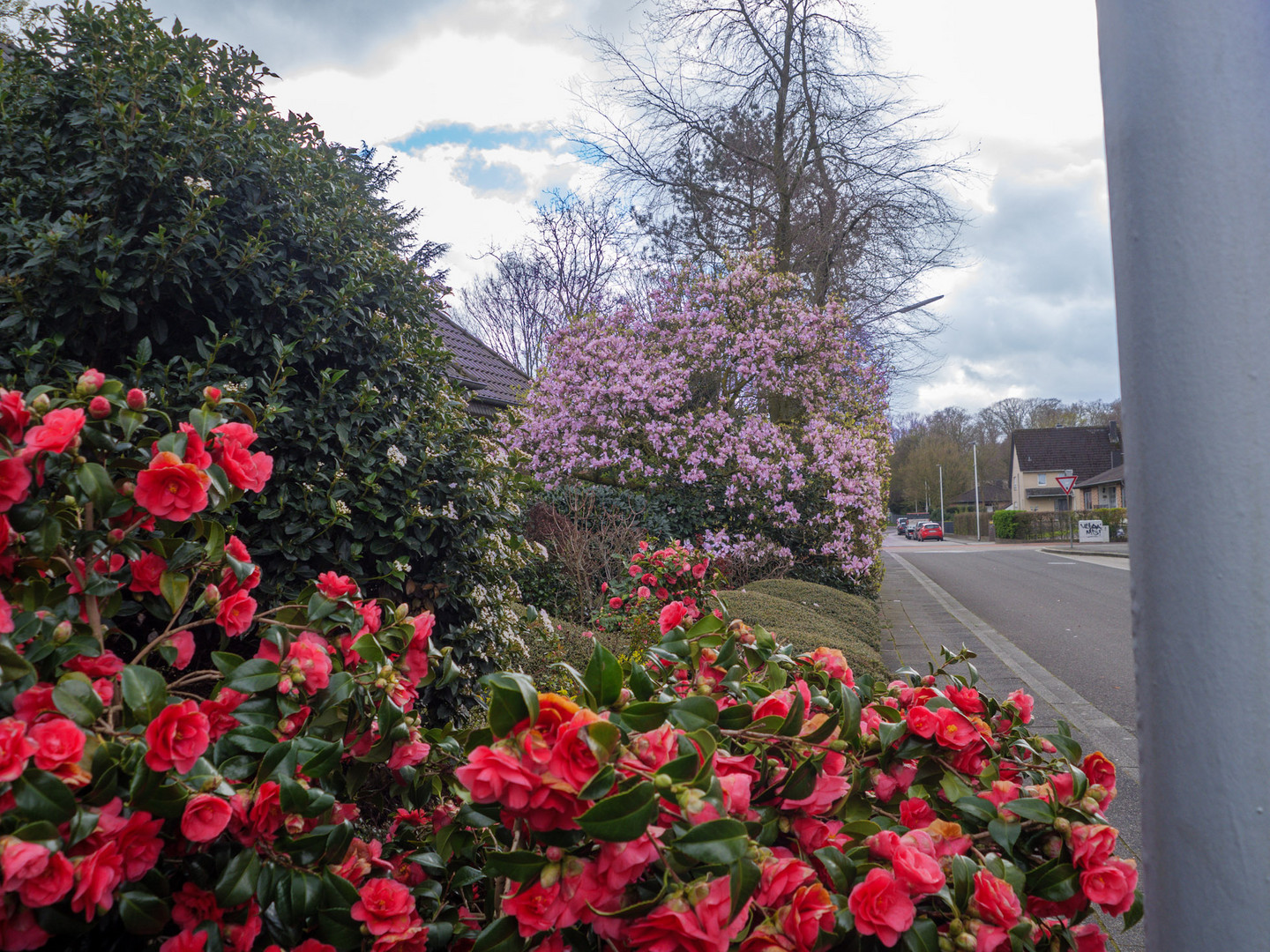 Nicht mal einen Frühling dauert es 