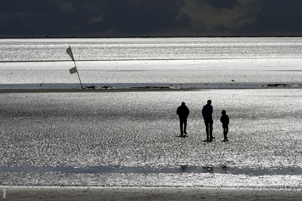 ..nicht mehr allein im Wattenmeer