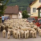 Nicht mehr alltäglich....