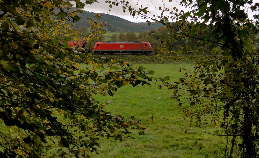 Nicht mehr als Herbst ... [Nord-Süd-Exkursion 2014]