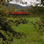 Nicht mehr als Herbst ... [Nord-Süd-Exkursion 2014]