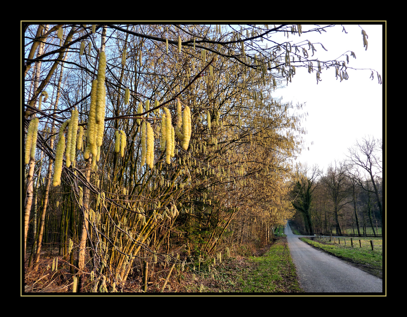 Nicht mehr weit bis Frühling :-)