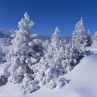 Nicht mehr weit zum Hochleckenhaus