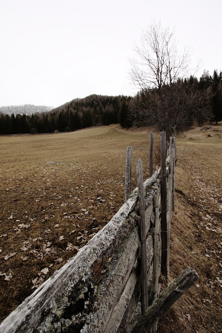 Nicht mehr Winter - noch nicht Frühling