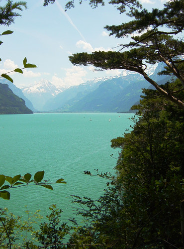 nicht Norwegen, sondern Vierwaldstättersee