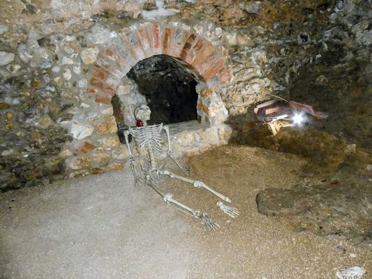 Nicht nur an Halloween ...