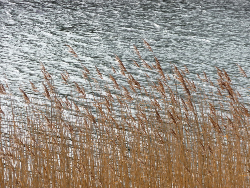 nicht nur den Blick aufs Wasser