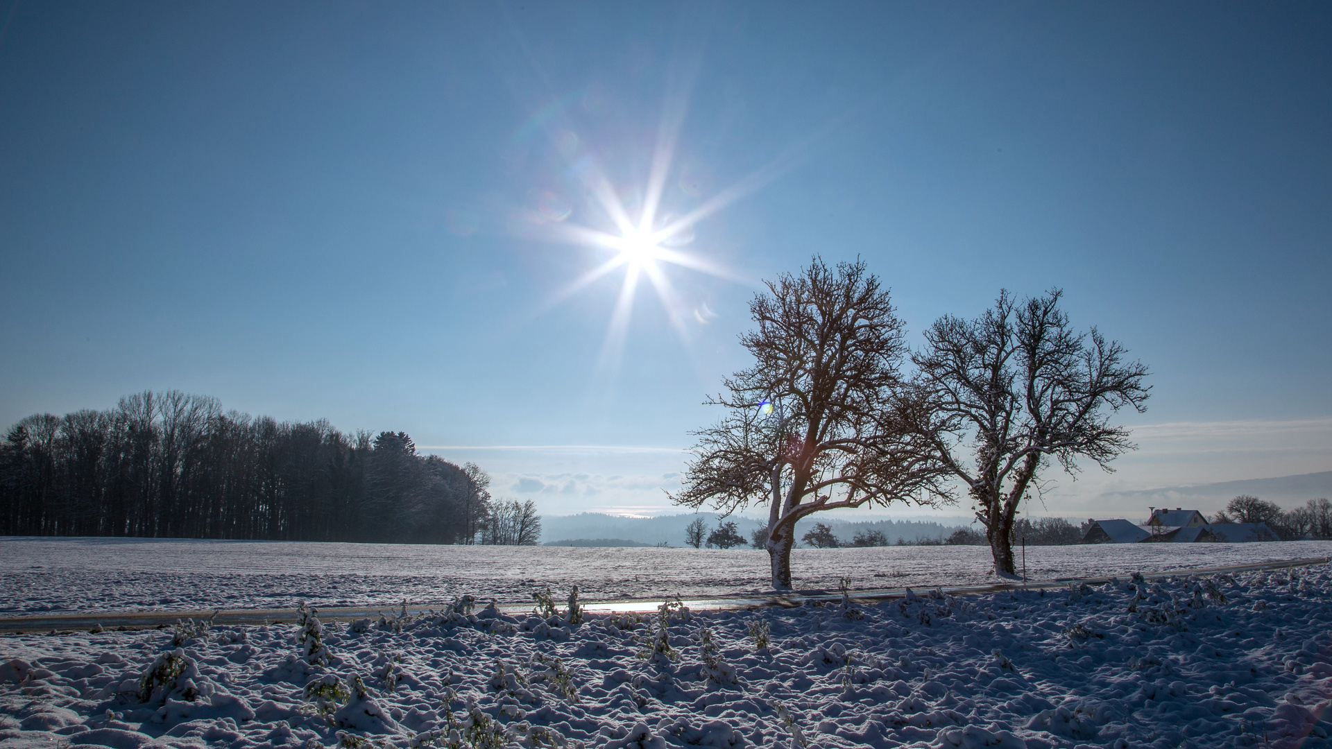 Nicht nur der Schnee ist in diesem Winter ein zentrales Thema