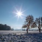 Nicht nur der Schnee ist in diesem Winter ein zentrales Thema