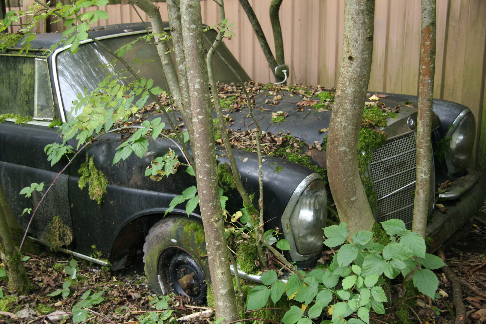 Nicht nur die Vehikel sind gestorben auch der schöne Autofriedhof!