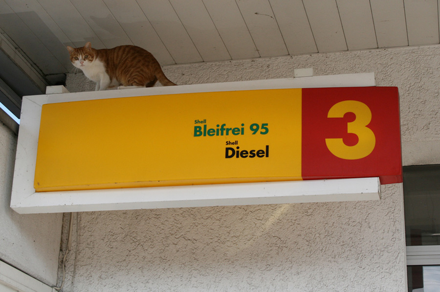 Nicht nur ESSO packt den Tiger in den Tank!!