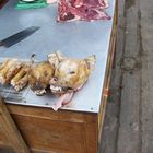 nicht nur in China essen sie Hunde...