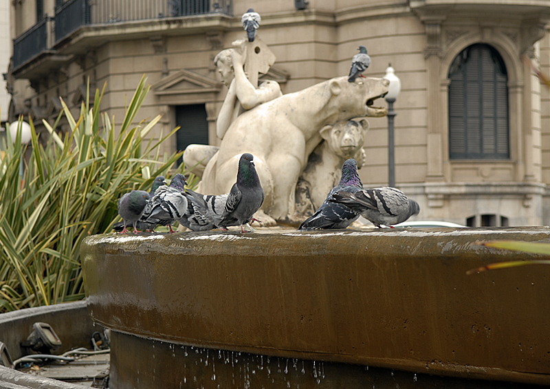 Nicht nur mir gefallen Brunnen