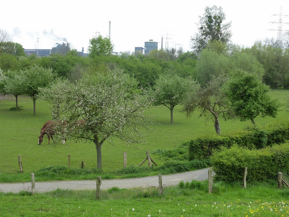 nicht nur Natur