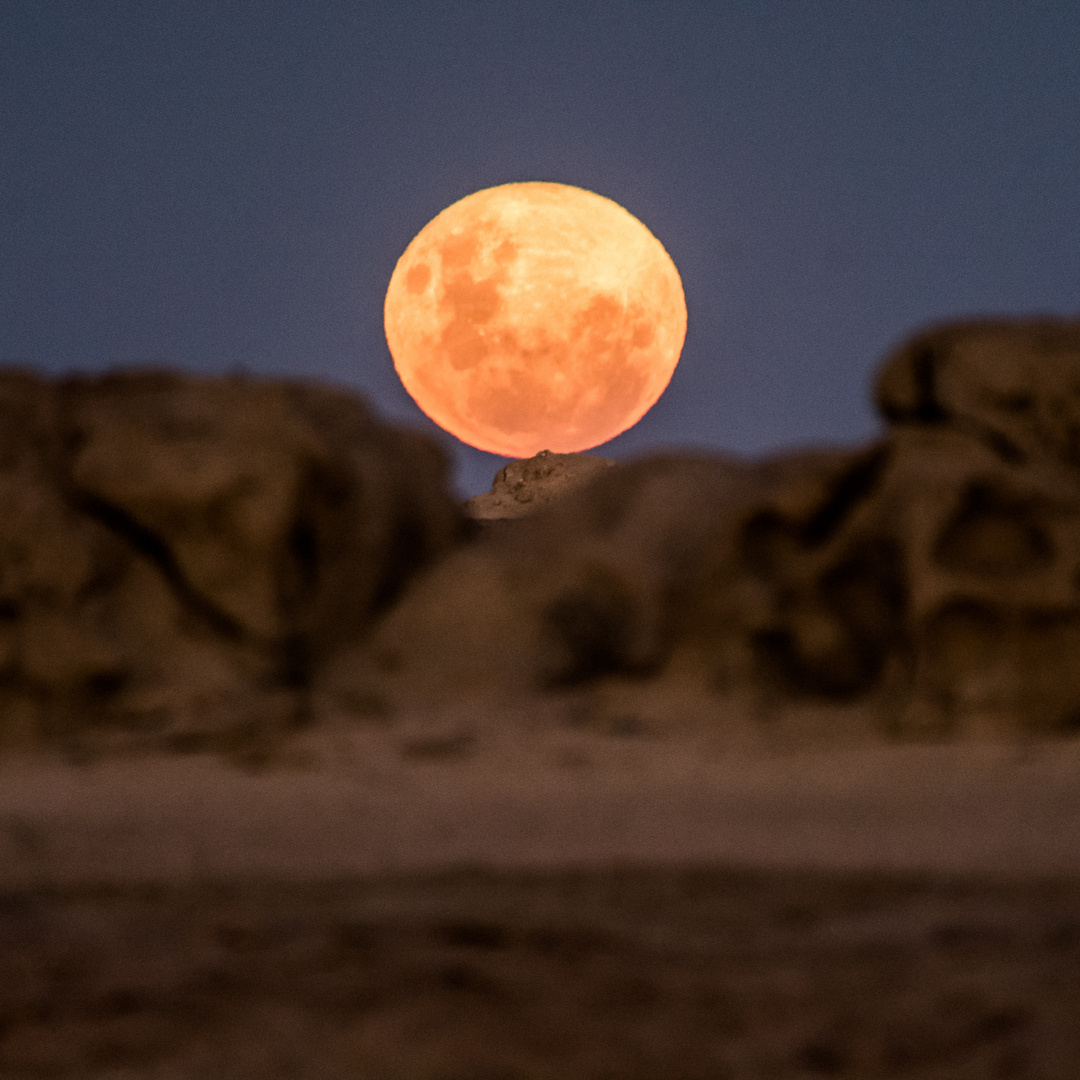 Nicht nur perfekte Sonnuntergänge bietet die Namib