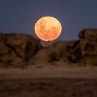 Nicht nur perfekte Sonnuntergänge bietet die Namib