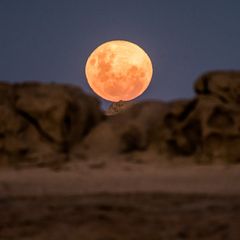 Nicht nur perfekte Sonnuntergänge bietet die Namib