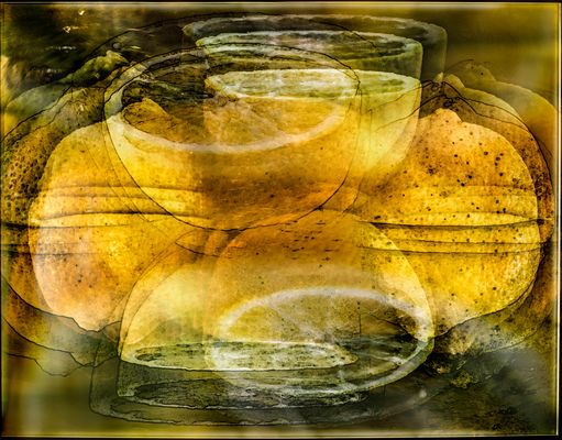 NICHT NUR ROSEN.....