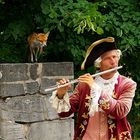 Nicht nur Schlangen,auch dieser Fuchs ist in Sanssouci von Flötentönen fasziniert.