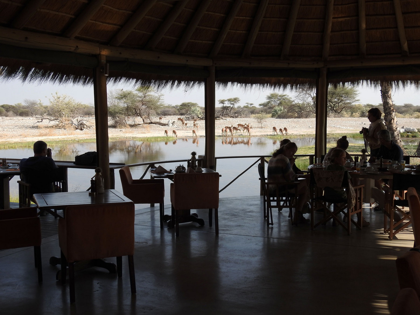 Nicht nur Tiere in der Etosha........