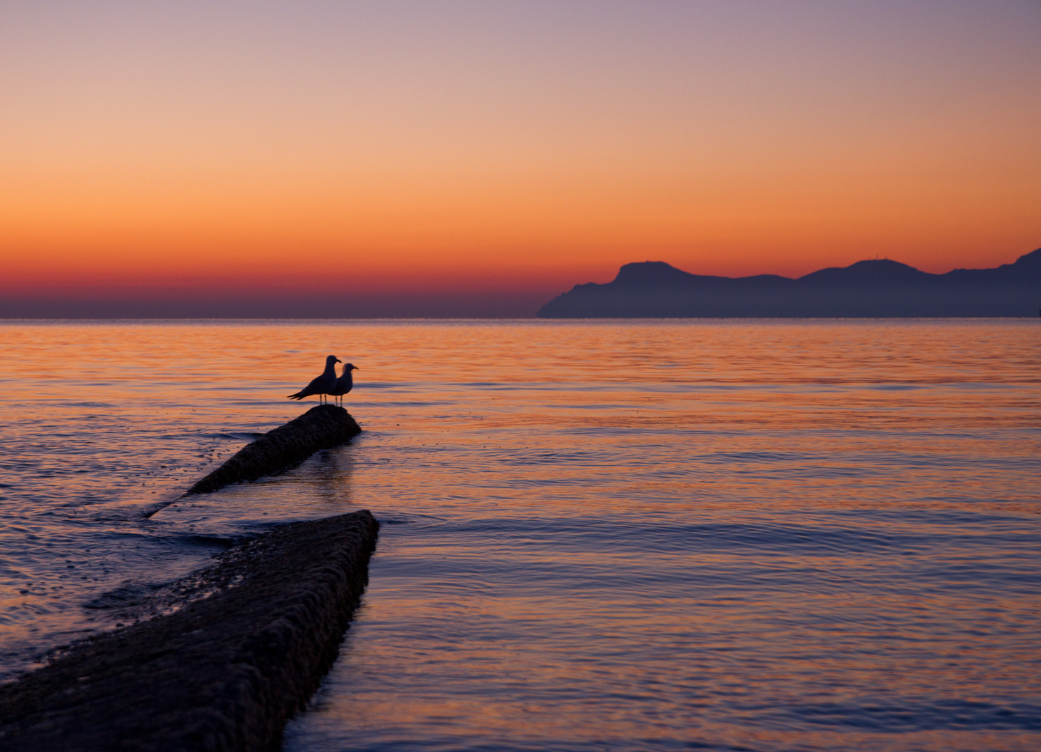 Nicht nur wir genießen den schönen Sonnenaufgang auf Mallorca