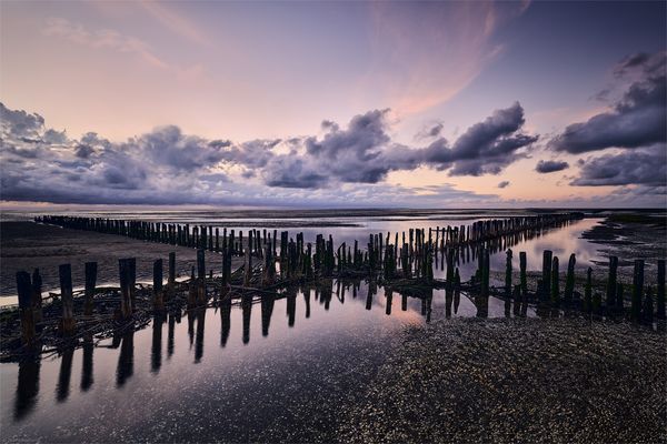 ::: nicht ohne | Gummistiefel ::: 