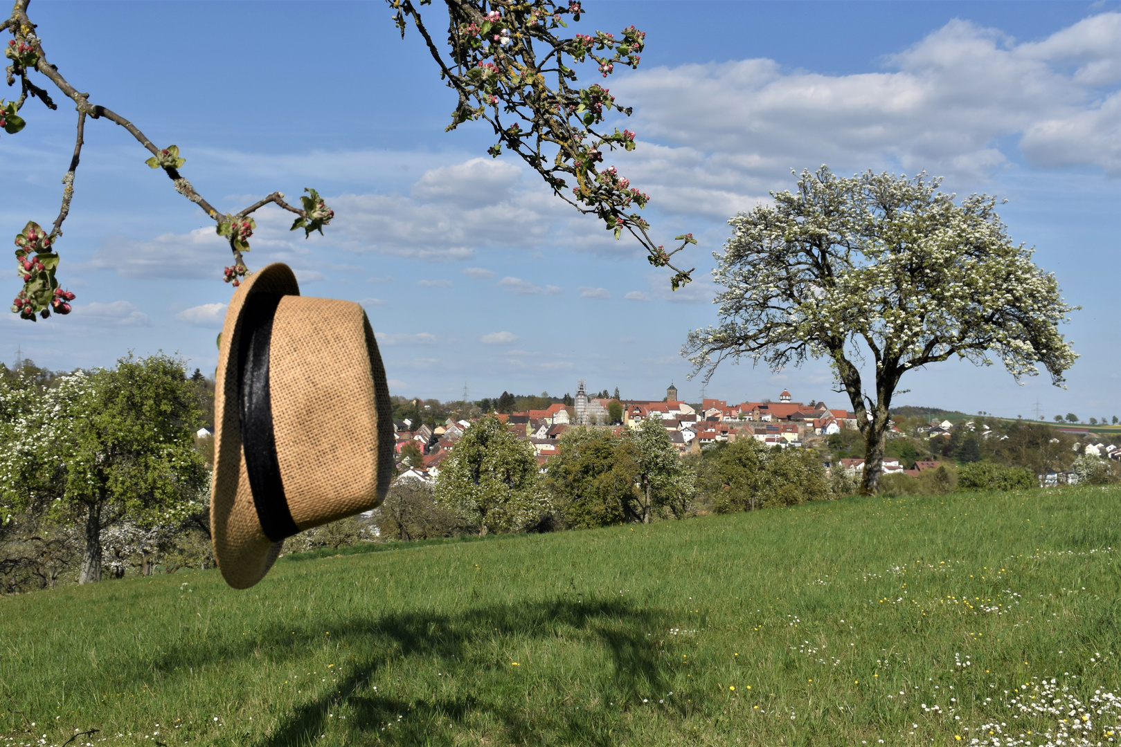 Nicht ohne meinen Sonnenhut