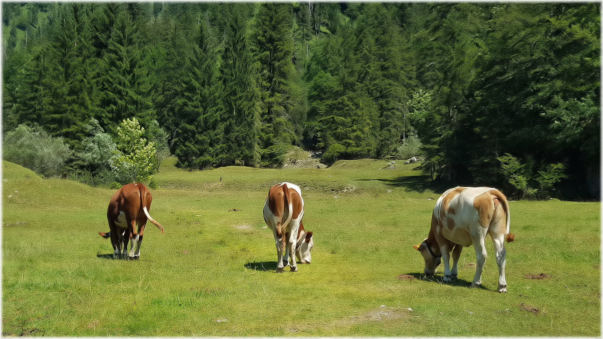 Nicht Popo...